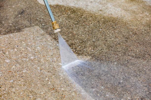 Best Vinyl Siding Pressure Washing in Fayette, IA